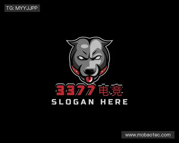 关于3377电竞网址