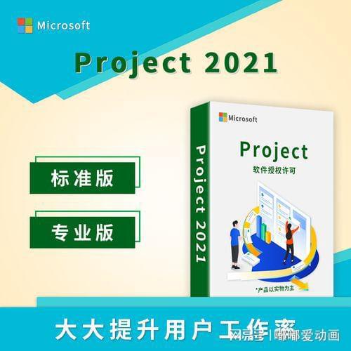 Microsoft Project 2021：全面掌控项目进展的强大管理工具(图2)